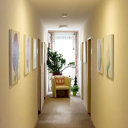 Comfort Garni Gitti 3* 滨湖采尔